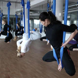 Areal Yoga Swing
