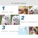 Dog Double-Ended Tooth Scaler