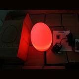 Uptown Vibez Egg Lamp