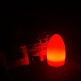 Uptown Vibez Egg Lamp