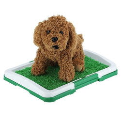 Pet Potty Pad