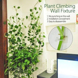 Plant Climbing Wall Fixture