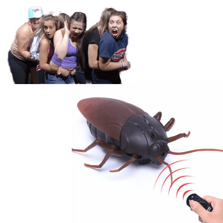 Remote Control Cockroach Prank