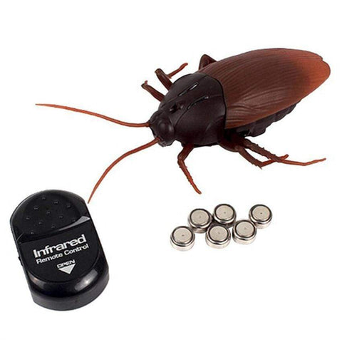 Remote Control Cockroach Prank