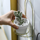 Uptown Vibez Rounded Wall Planter