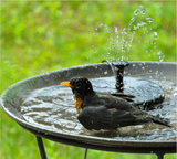 Solar Powered Fountain Garden Sprinkler