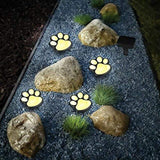 Solar Bear Claw Lawn Light